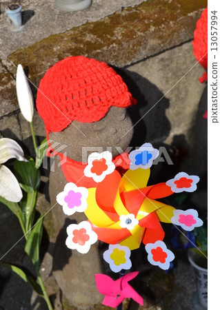 親愛的大分先生 親愛的大分先生 13057994