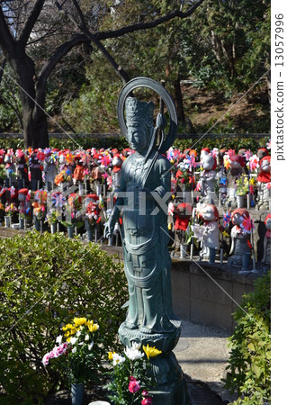 加隆先生 13057996