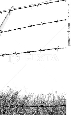 barbed wire fence 13058026