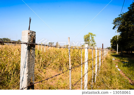 barbed wire fence barbed wire fence 13058061
