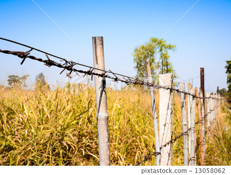 barbed wire fence barbed wire fence 13058062