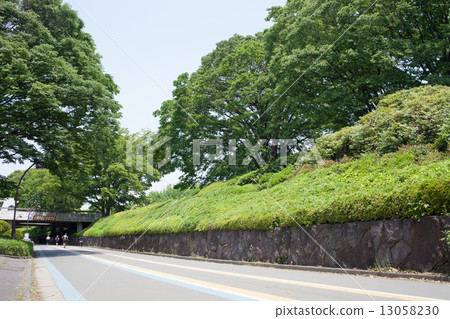 駒澤公園 駒澤公園 13058230