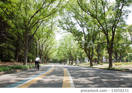 駒澤公園 13058231
