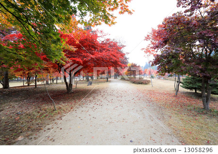 Namiseom island in autumn 13058296
