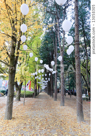 Namiseom island in autumn Namiseom island in autumn 13058305