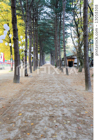 Namiseom island in autumn Namiseom island in autumn 13058308