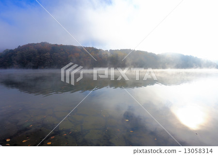 Namiseom island in autumn Namiseom island in autumn 13058314