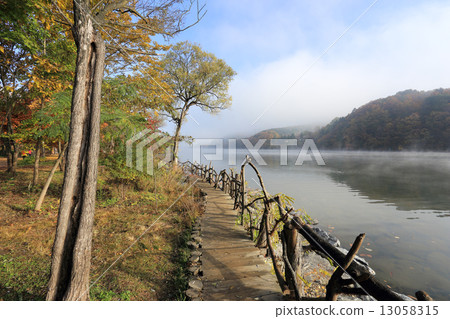 Namiseom island in autumn 13058315