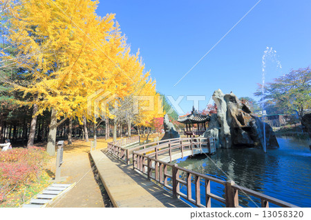 Namiseom island in autumn 13058320