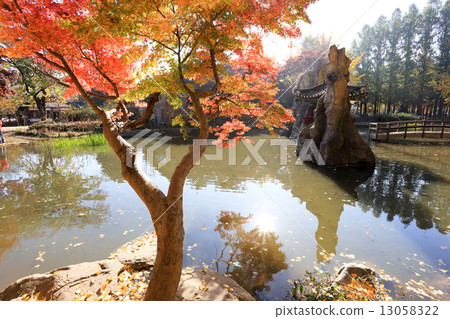 Namiseom island in autumn 13058322