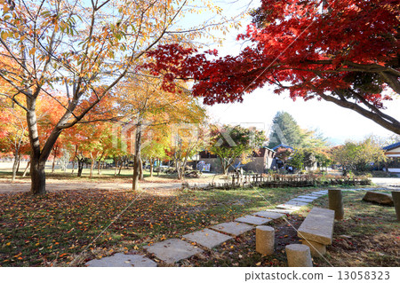 Namiseom island in autumn 13058323
