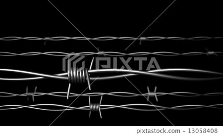 Fance.Barbed wire. Concept. 13058408