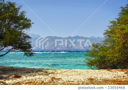 Beach of tropical island Beach of tropical island 13058468
