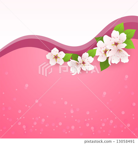 vector spring greeting card with cherry flowers vector spring greeting card with cherry flowers 13058491
