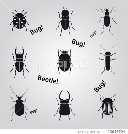 bugs and beetles icons set eps10 bugs and beetles icons set eps10 13058704