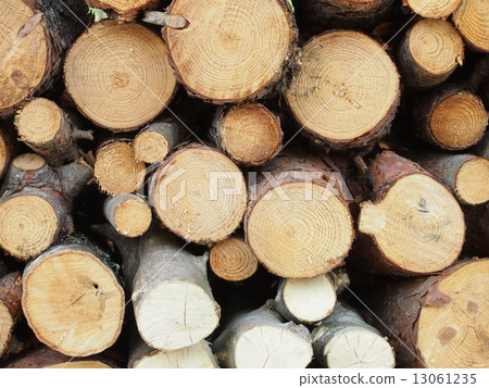 Firewood Firewood 13061235