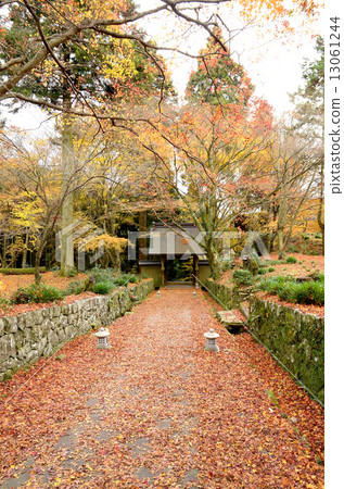 Bokoji寺廟秋葉 Bokoji寺廟秋葉 13061244