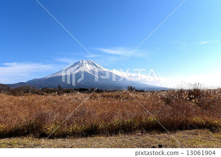 Susuki和Fuji Susuki和Fuji 13061904