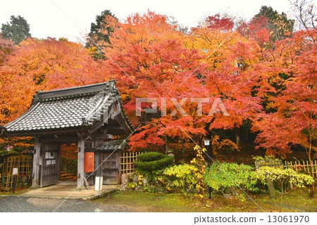 主教Miyama，Baekjeji 13061970