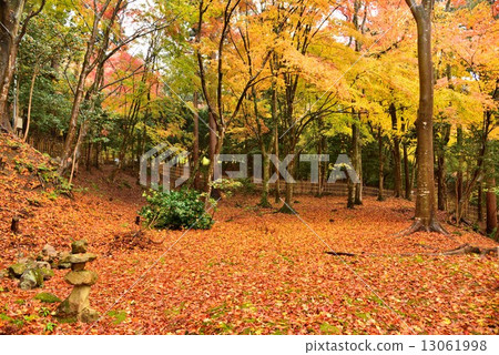 主教Miyama,Baekjeji 主教Miyama,Baekjeji 13061998