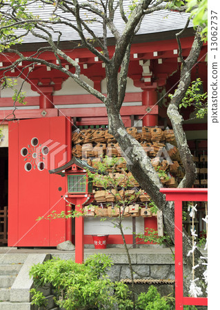 Ebana Tenjin company's fresh green 13062737