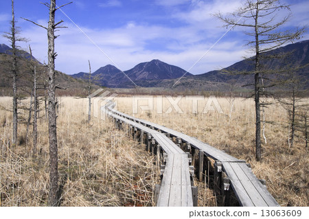 Okuhiko May 13063609