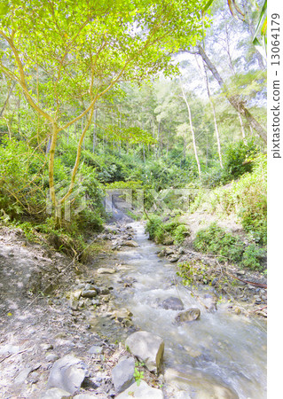 Papua trekking Papua trekking 13064179