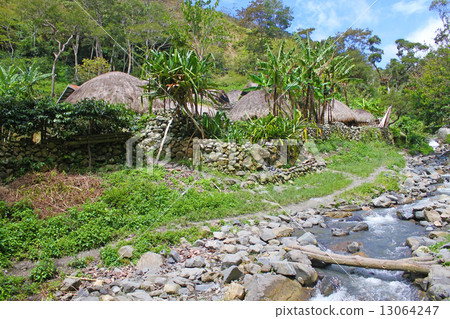Papua trekking 13064247