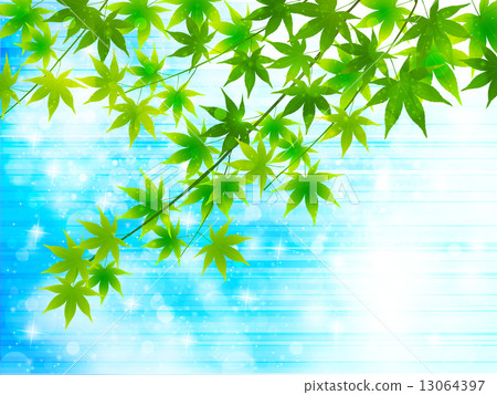 Leaf fresh green background Leaf fresh green background 13064397