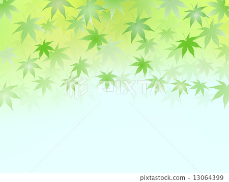 葉子新綠色背景 葉子新綠色背景 13064399