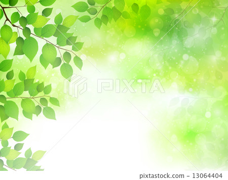 Leaf fresh green background Leaf fresh green background 13064404