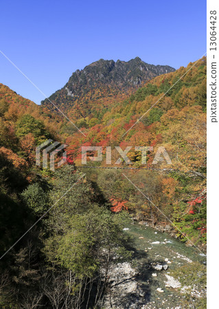 Autumn leaves in the Nishizawa Valley Autumn leaves in the Nishizawa Valley 13064428