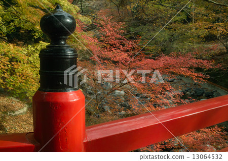 Autumn leaves -4 of the Ohouin 13064532