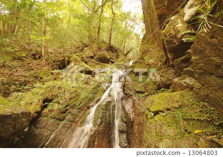 Nagato Gorge 13064803