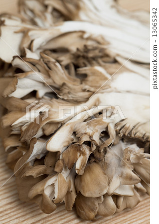 Maitake 13065342