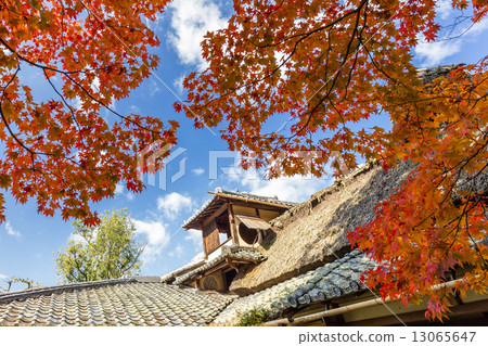 秋天的資生堂 13065647