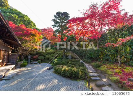 Kinpukuji Temple in autumn 13065675