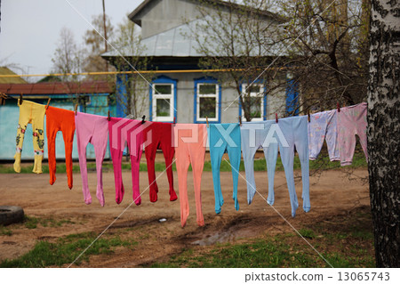 colored tights 13065743