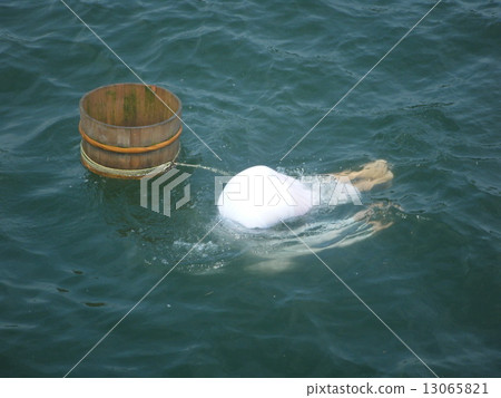 Sea lady 13065821