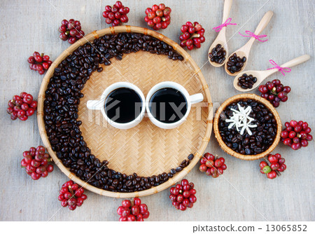 Collect of cafe bean, cup of coffee Collect of cafe bean, cup of coffee 13065852