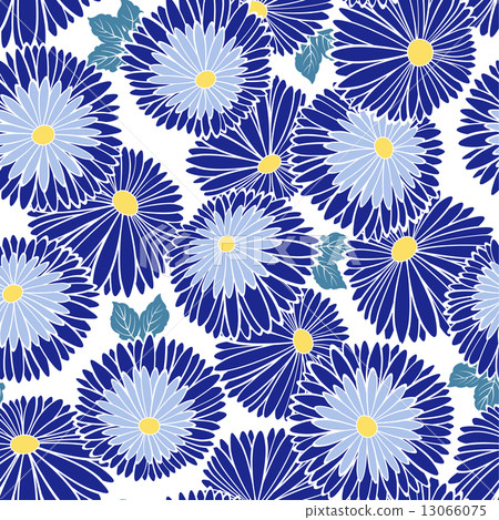 菊花圖案 菊花圖案 13066075