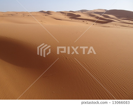 Sahara Desert Sahara Desert 13066083