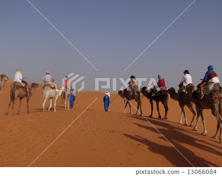 Sahara Desert Sahara Desert 13066084