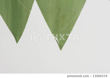 竹草 13066334