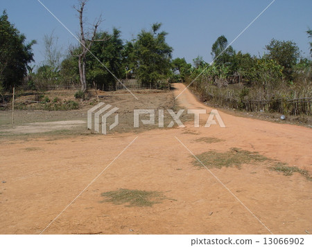 乾土（Jar plain / Laos） 13066902
