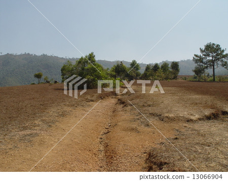 Dry land and road (Jar plain / Laos) Dry land and road (Jar plain / Laos) 13066904