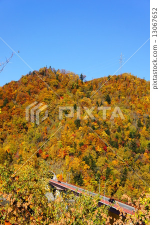 Autumn leaves Autumn leaves 13067652