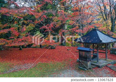 Late autumn Mt. Late autumn Mt. 13067828