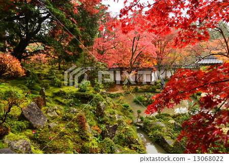 Miyama湖，Saige-ji 13068022