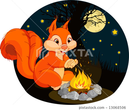 Squirrel campfire Squirrel campfire 13068506